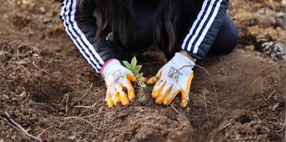 Uludağ Elektrik’ten Doğa Dostu Çözüm 