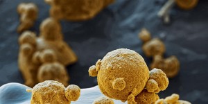 Sicherer Strom für unterwegs / Reliable power on the go