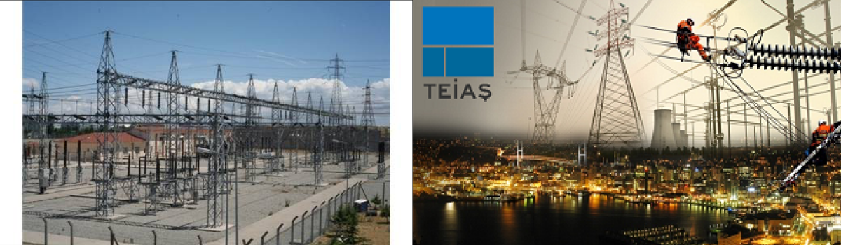 TEİAŞ 10 yıllık kapasite planlamasını yayınladı