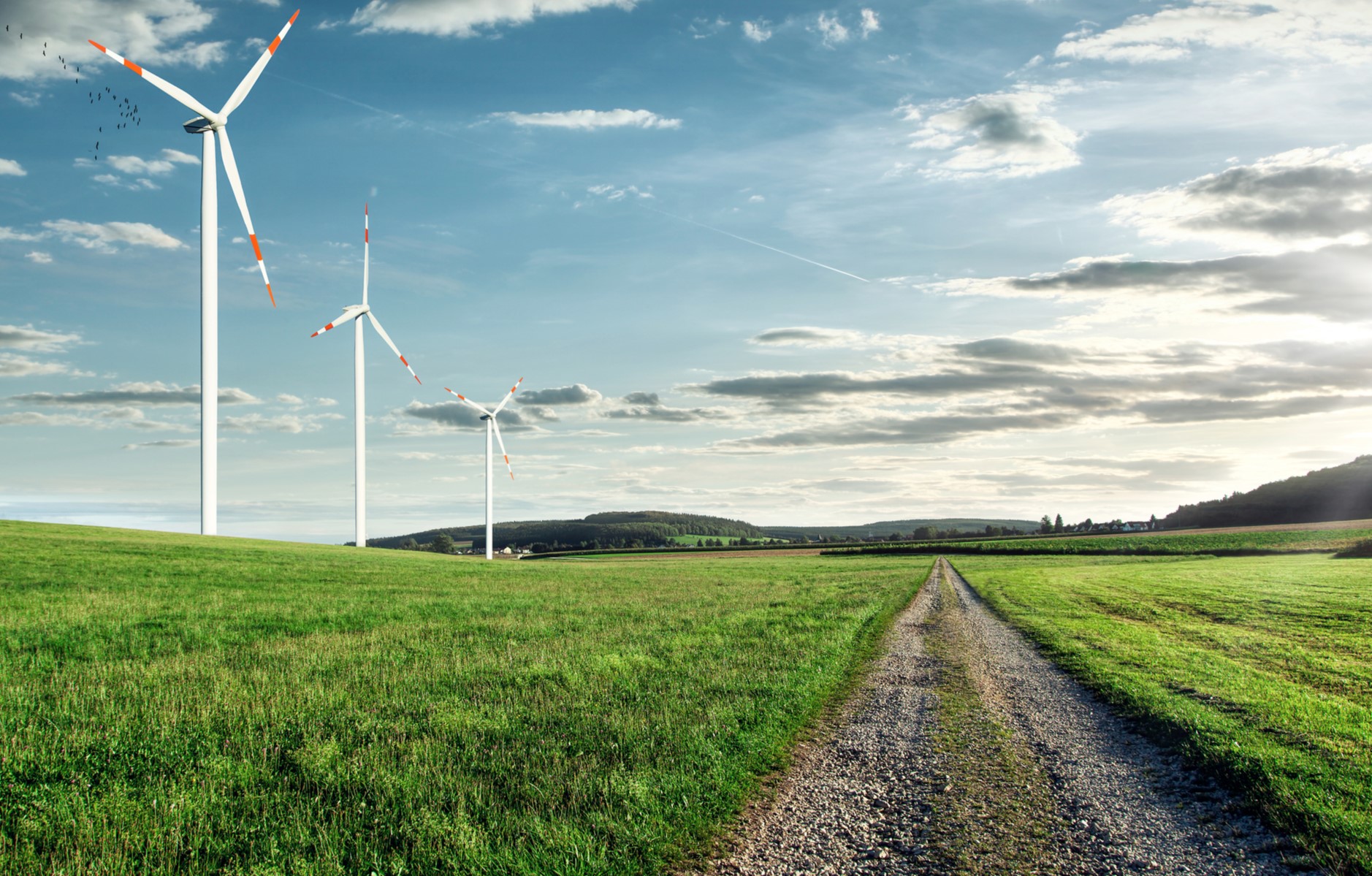 Yenilenebilir Enerjinin Kapasitesinin 5 Yılda %50 Artması Bekleniyor